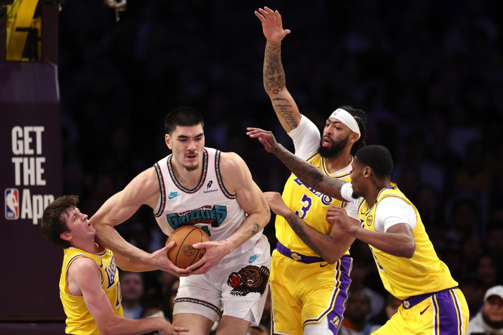 可能包括 可能包括